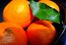 Photo of Фреш из апельсинов: свежий и полезный напиток