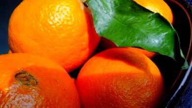 Photo of Фреш из апельсинов: свежий и полезный напиток
